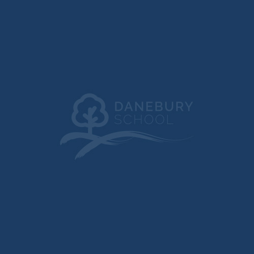 Danebury School Students